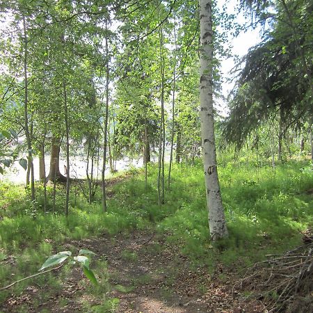 Dawson City River Hostel Экстерьер фото